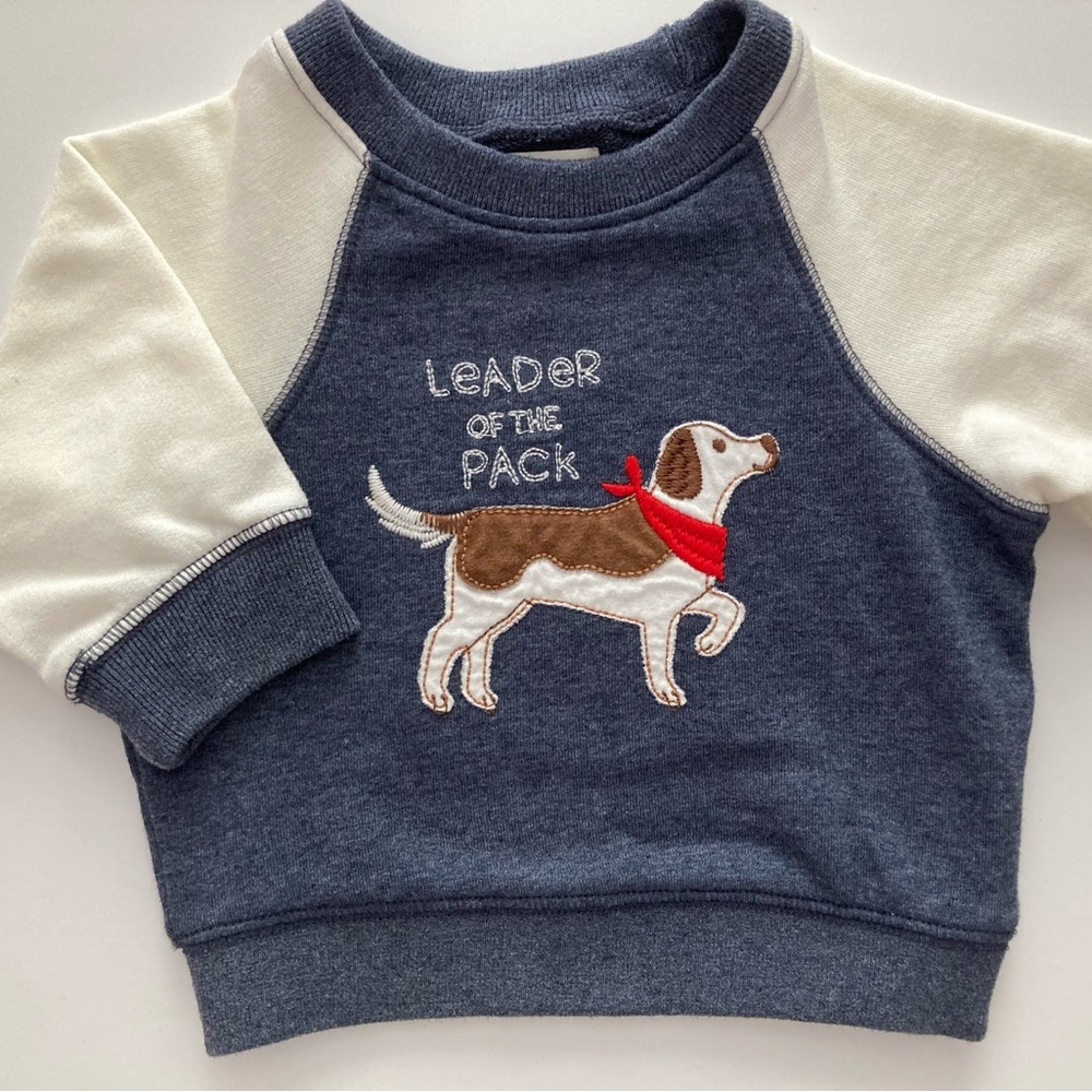 🇨🇦 Hatley “Leader of the Pack” pullover sweatshirt, 9-12 months